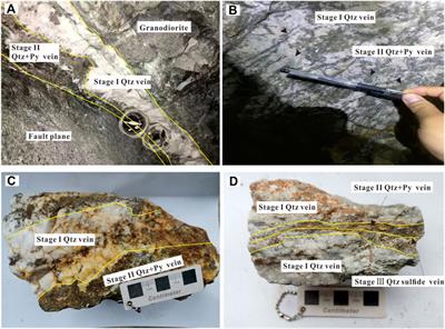 Metallogenic mechanism of the Houge’zhuang gold deposit, Jiaodong, China: Evidence from fluid inclusion, in situ trace element, and sulfur isotope compositions